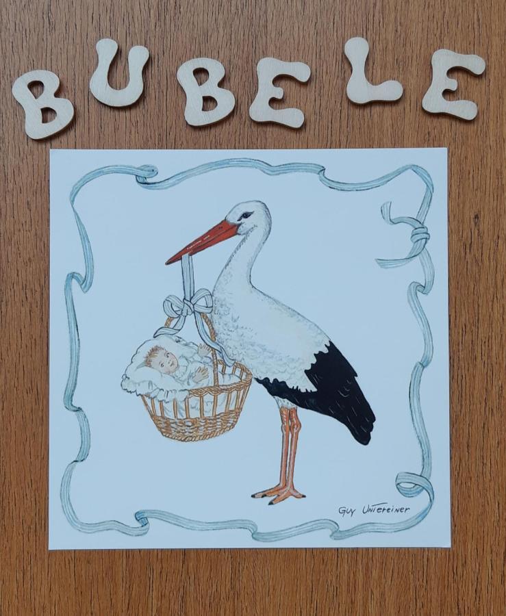 Le BUBELE au coeur du centre médiéval et vignoble Ribeauvillé Esterno foto