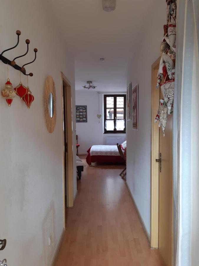 Le BUBELE au coeur du centre médiéval et vignoble Ribeauvillé Esterno foto
